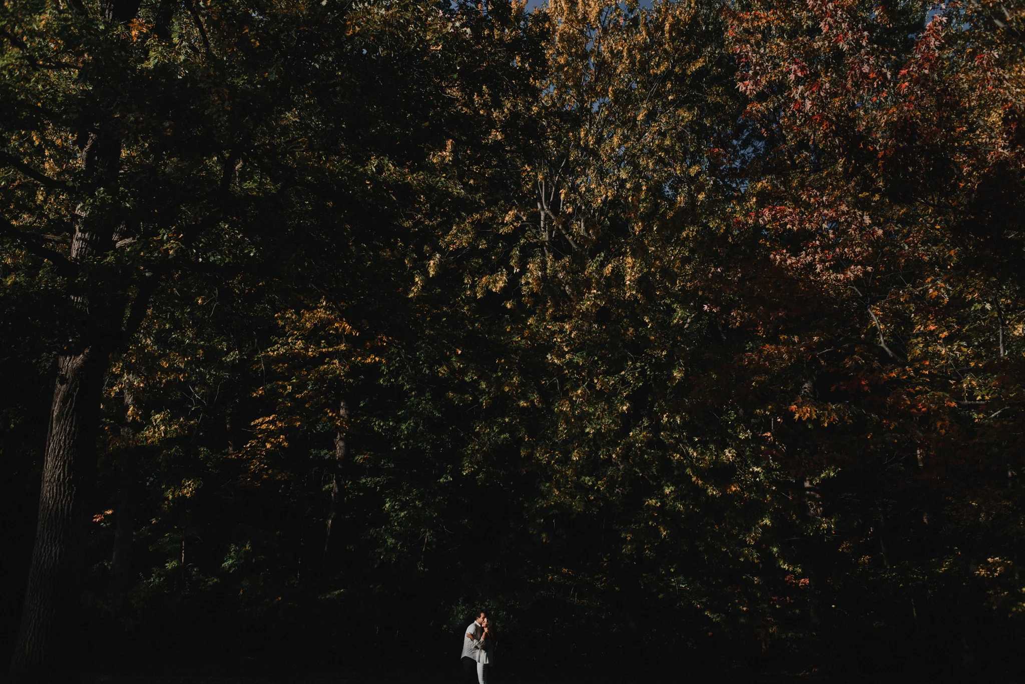 laura + yoni's engagement session at parc angrignon, montreal