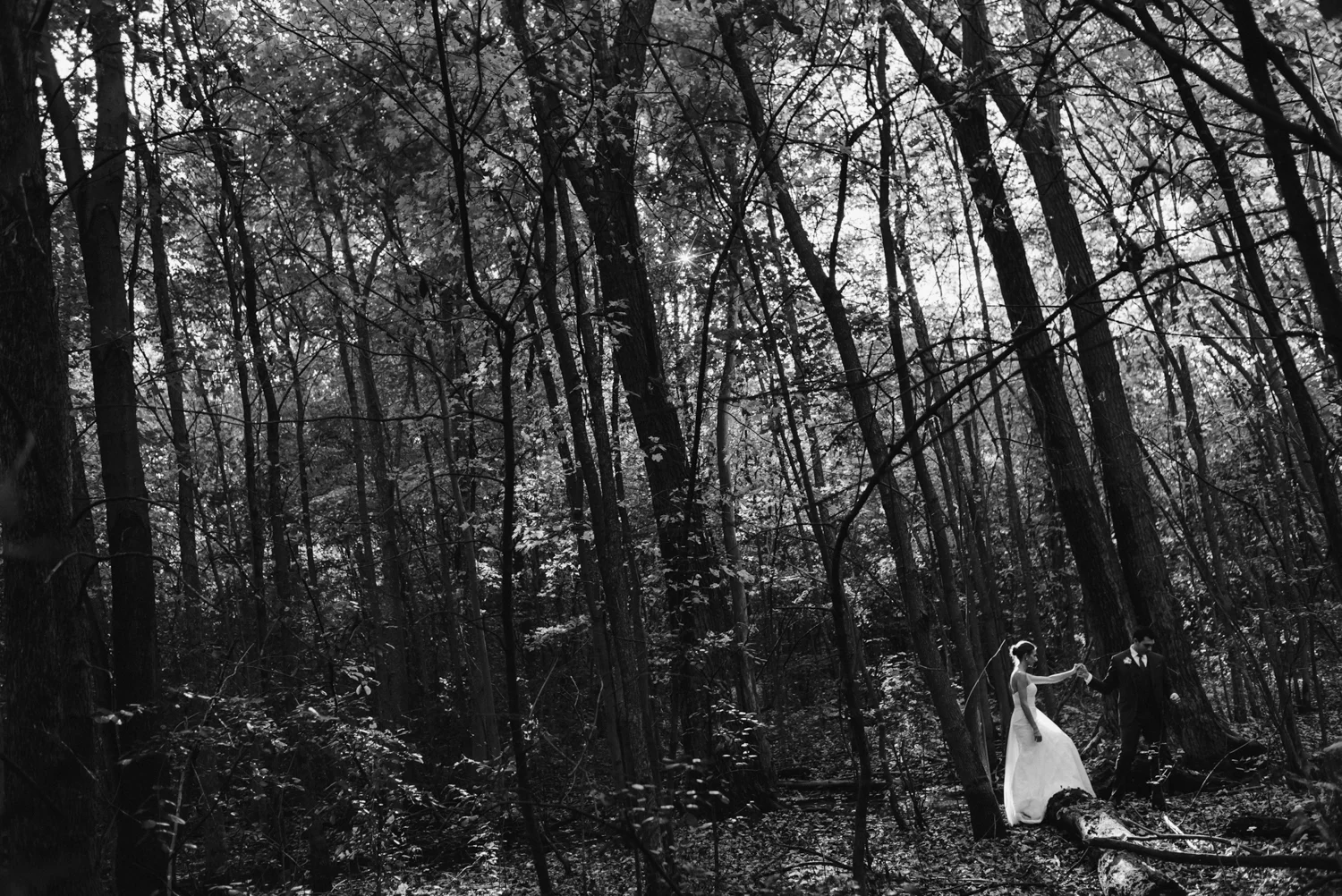 nathalie and francois-frederic's wedding at le crystal, montreal, quebec