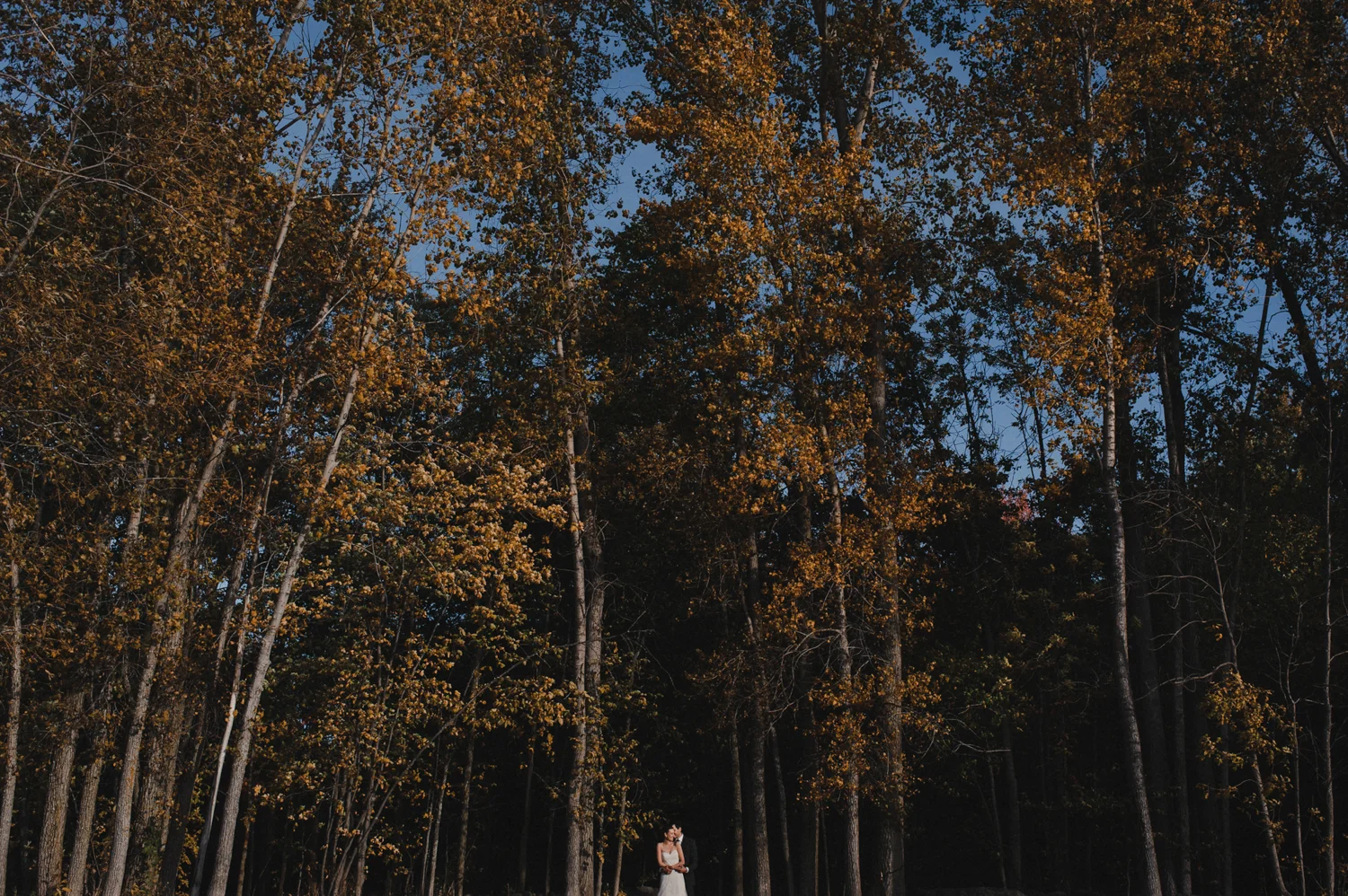 nathalie and francois-frederic's wedding at le crystal, montreal, quebec