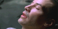200w_d.gif