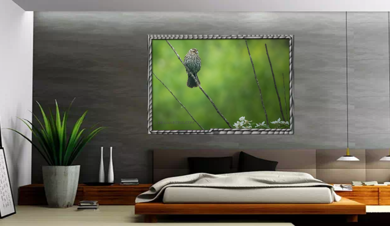 FEMALE RED-WINGED BLACKBIRD (1)