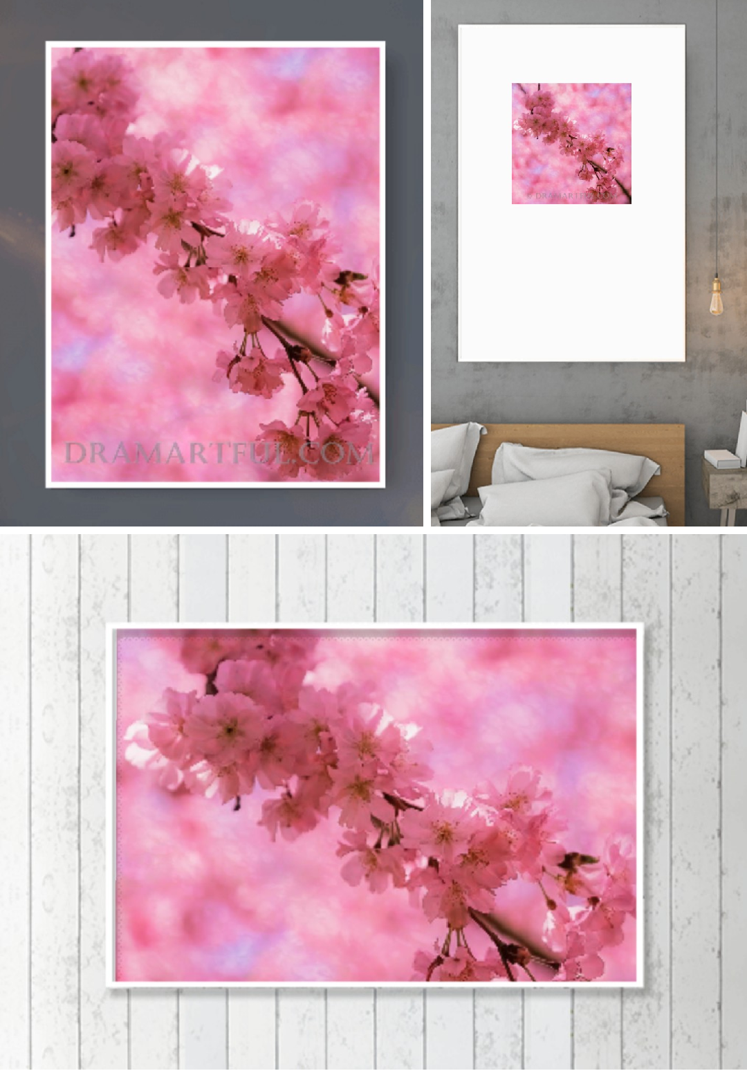 A SPLENDID SAKURA BRANCH