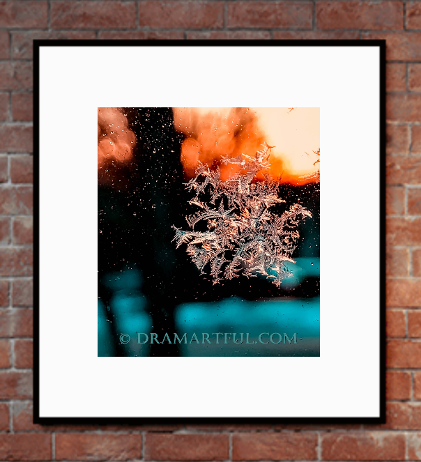 WINTER WONDERLAND