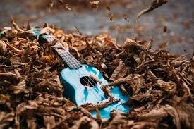 Rochester Ukulele Support Group