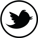 TWITTER Create custom caption, #hashhtags and overlays