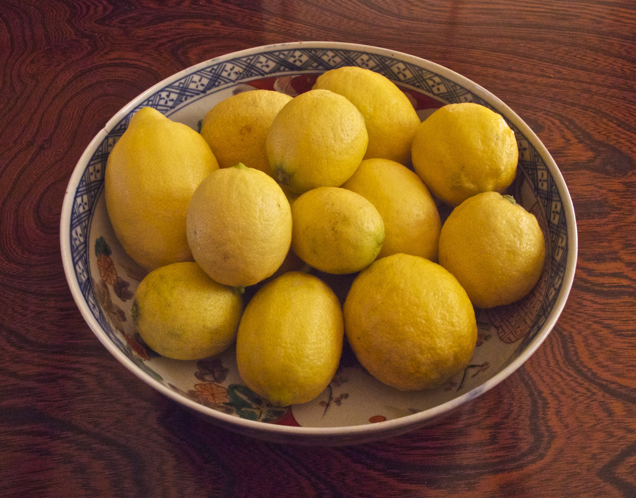 citrus-japanese-fruit-kankitsukei.jpg
