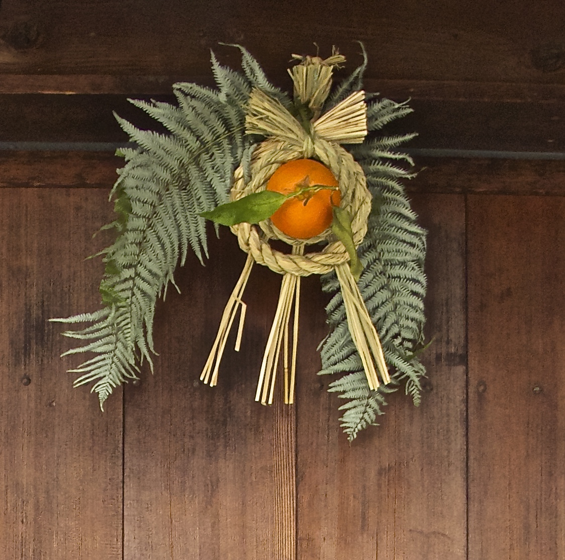 citrus-japanese-fruit-kankitsukei.jpg