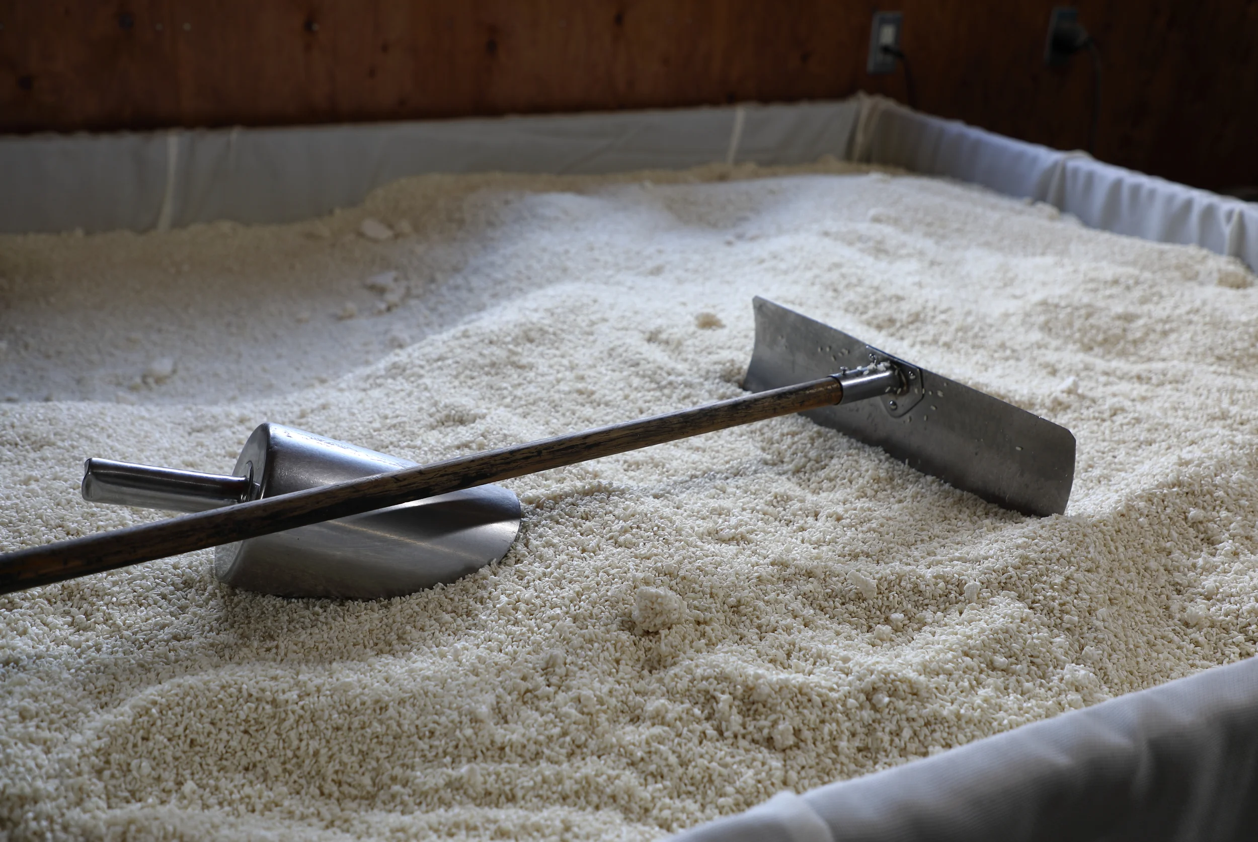 Meitou's Handmade Koji