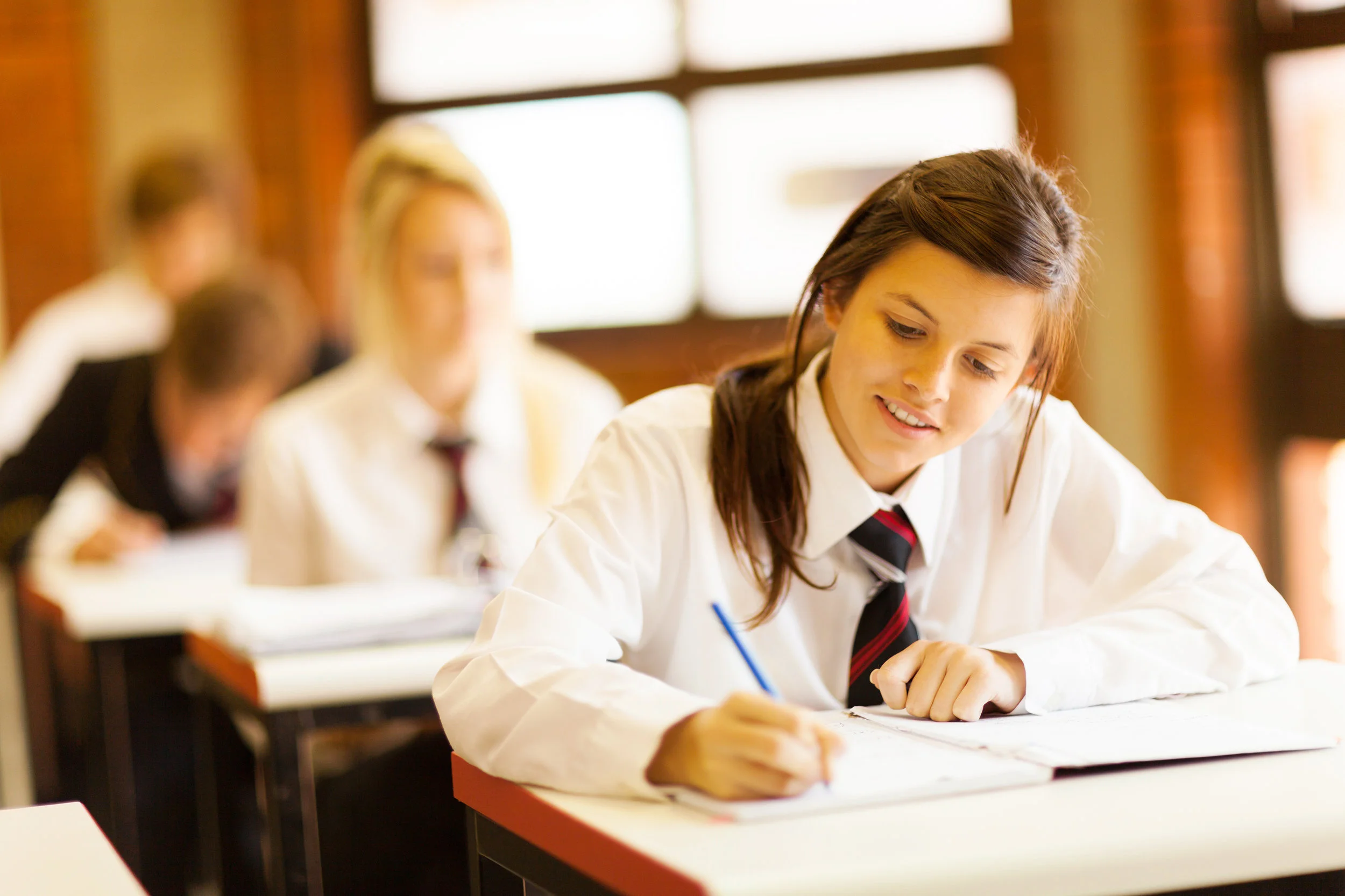 New Relationships &amp; Bullying Survey under development