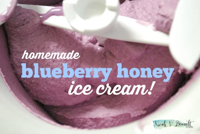 Sunday Treat: Blueberry Honey Homemade Ice Cream