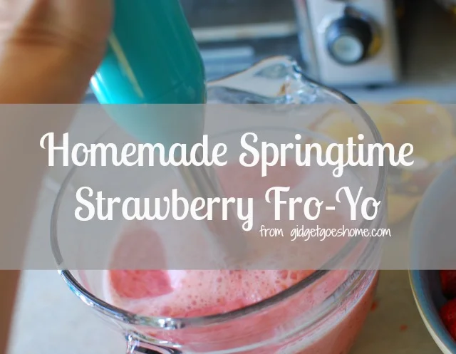 Homemade springtime strawberry fro-yo