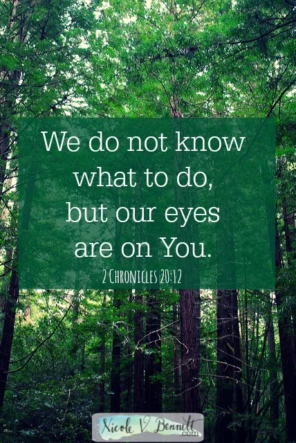 On Katniss, The Hanging Tree, and keeping our eyes fixed on Jesus-- a manifesto for the new year