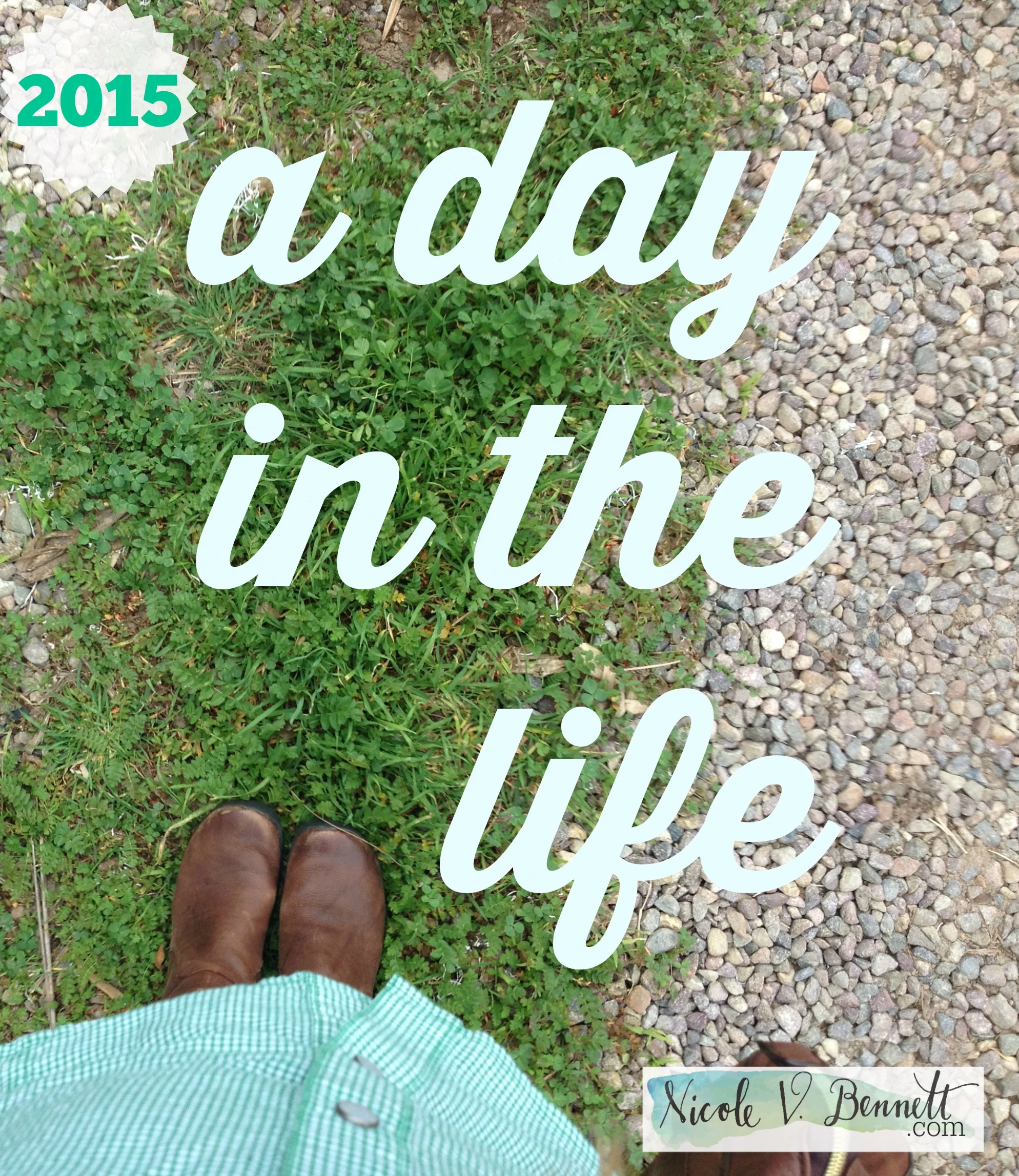 A day in the life: January 28, 2015