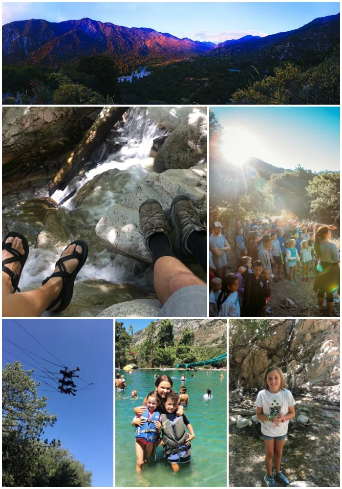 FoHoCollage.jpg