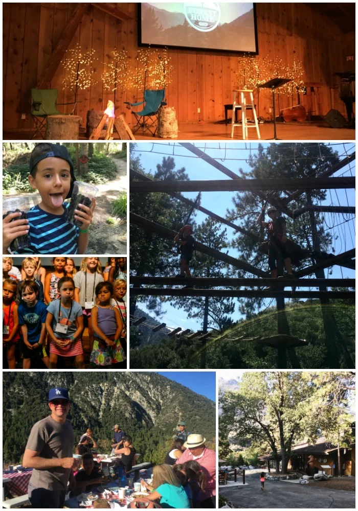 foho Collage 2.jpg