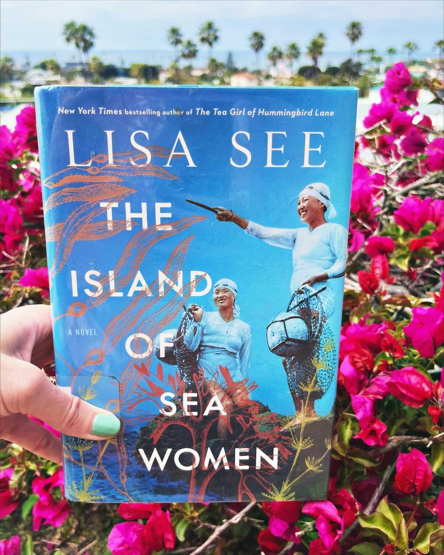 Recent Read: THE ISLAND OF SEA WOMEN by Lisa See 
Genre: historical fiction
Age Category: adult (mature content)
✨
Catching up and sharing a book club pick I read in February. This book was very interesting and despite it being a hard one for me cont