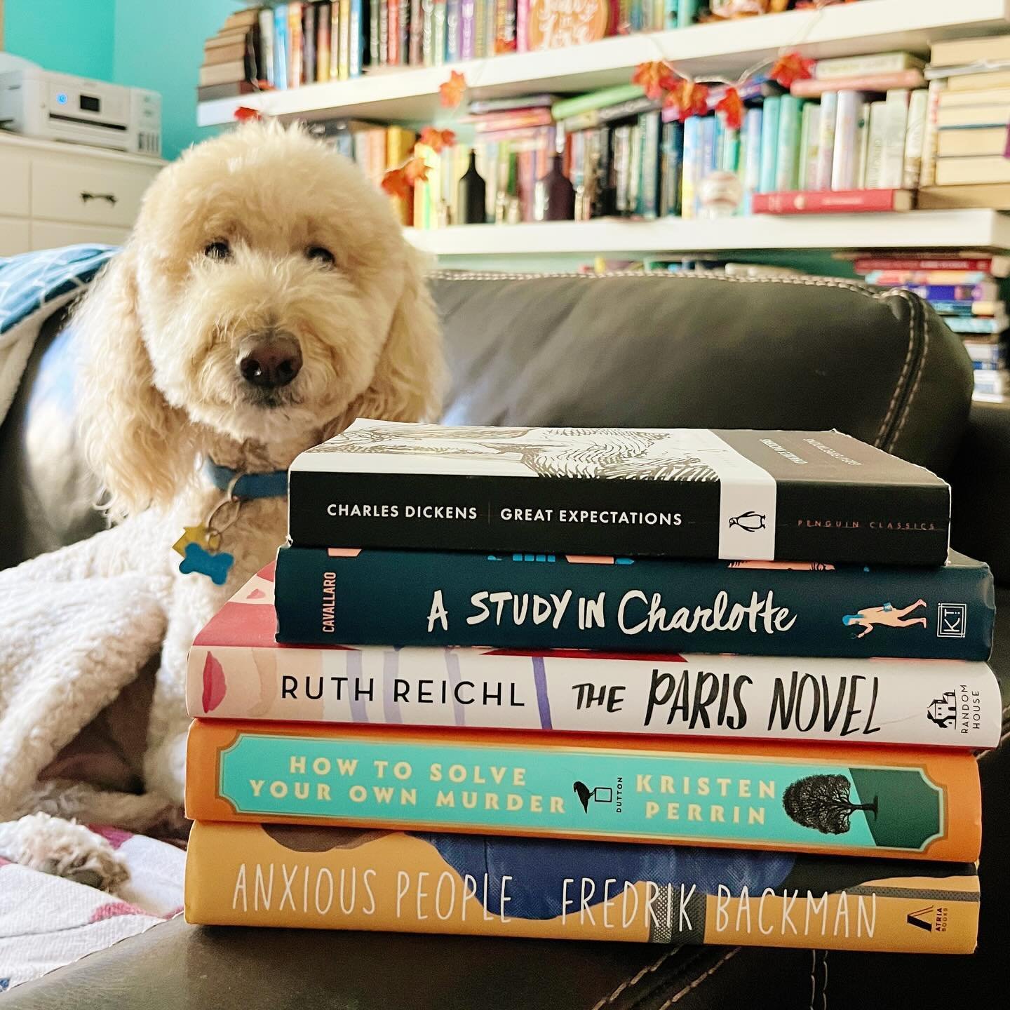 October was a great reading month! I have a few stacked here that I read (and actually have in hard copy form) and will post all the rest in my stories with a StoryGraph wrap-up. I&rsquo;ve been loving mysteries so it was fun to do a mystery challeng