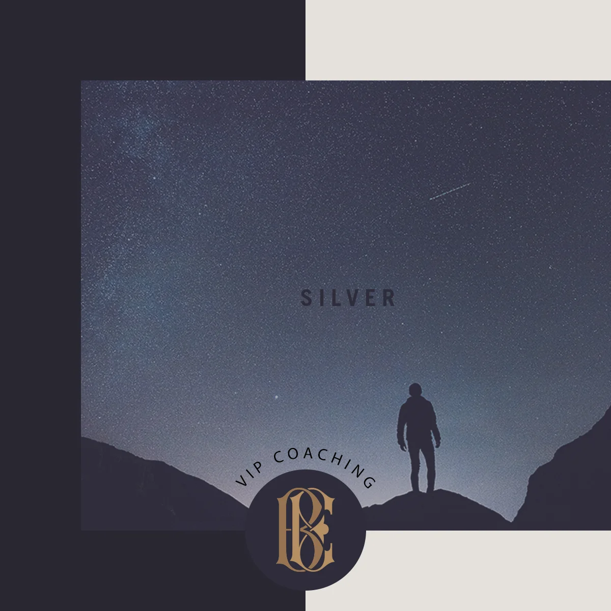 Silver.jpg