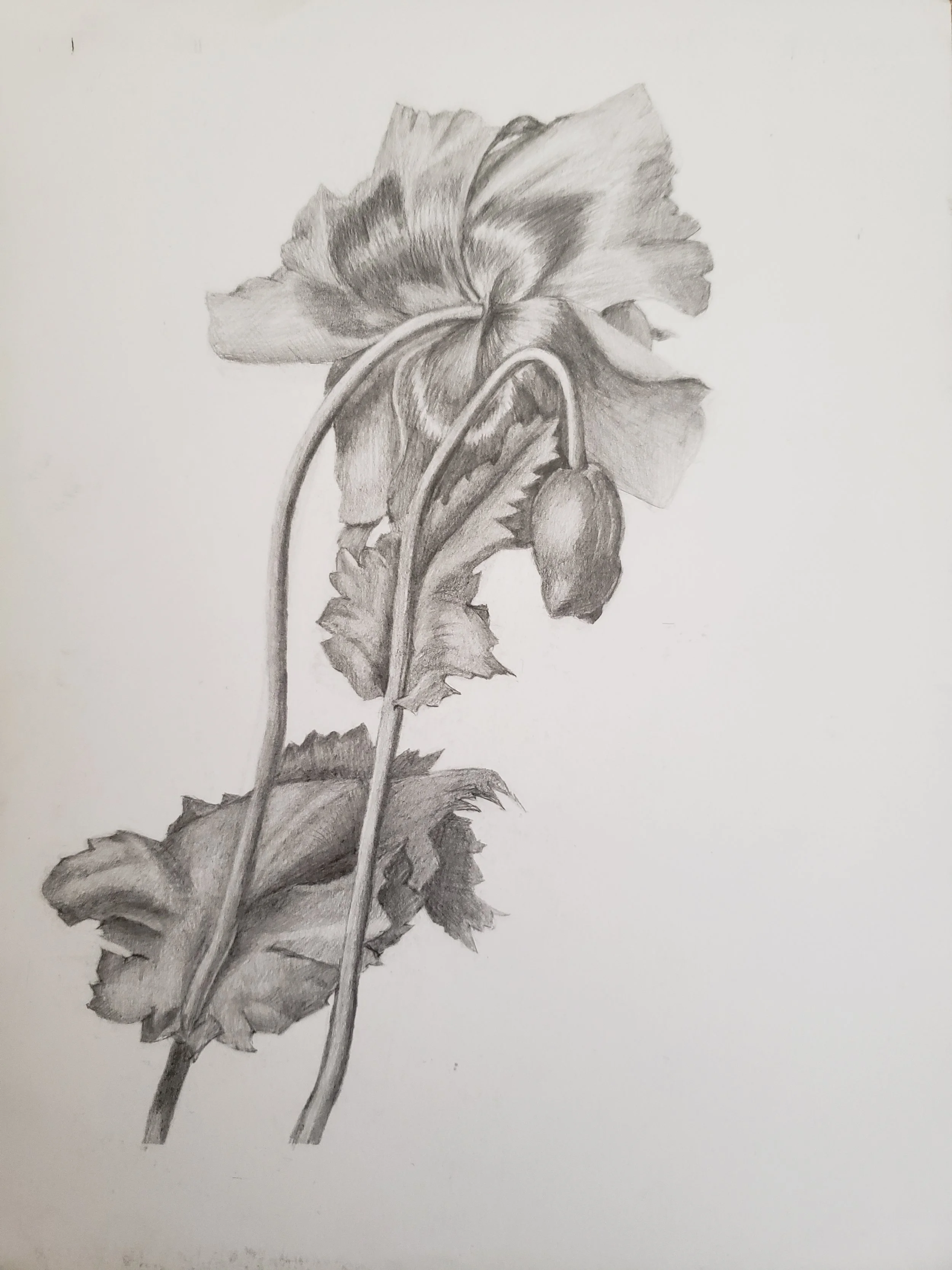 Master Study