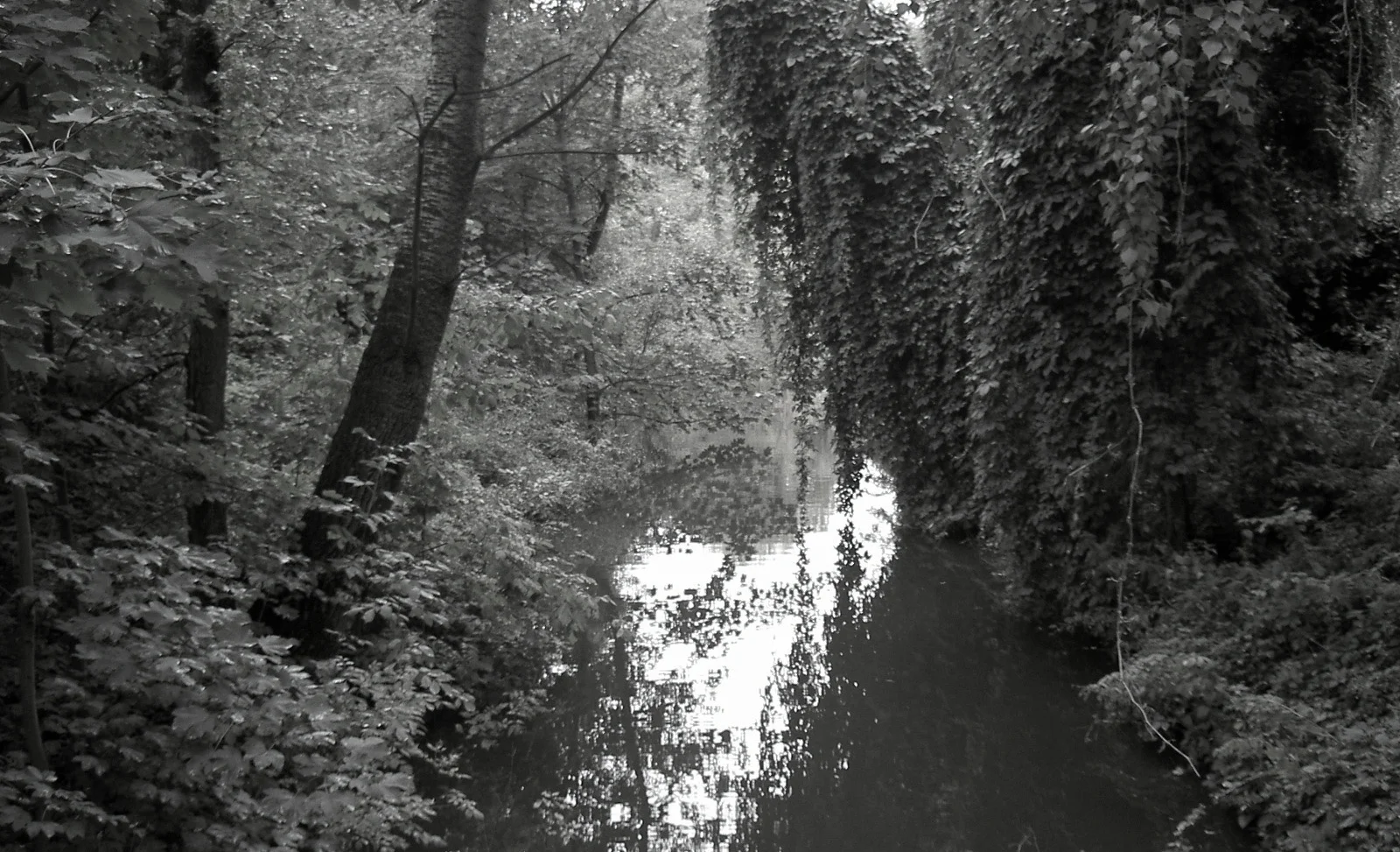 web_PICT4987.jpg