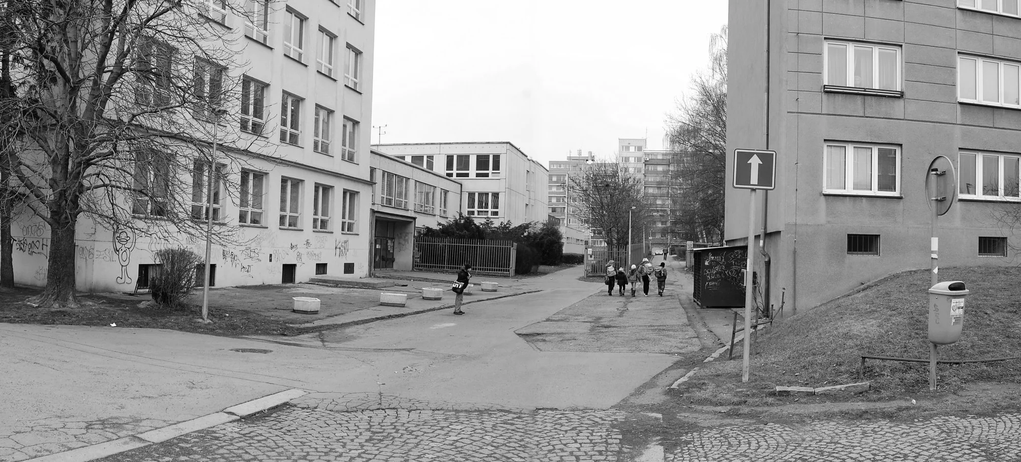 pan3.jpg