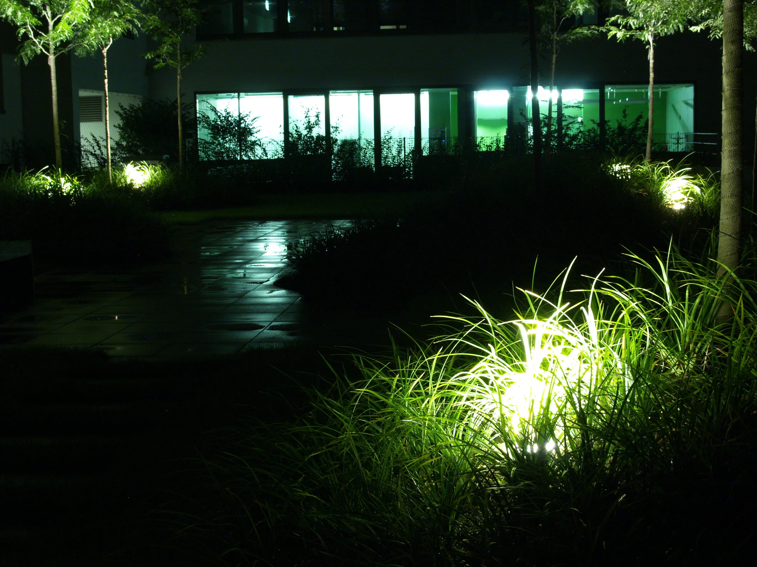 P8305071.jpg