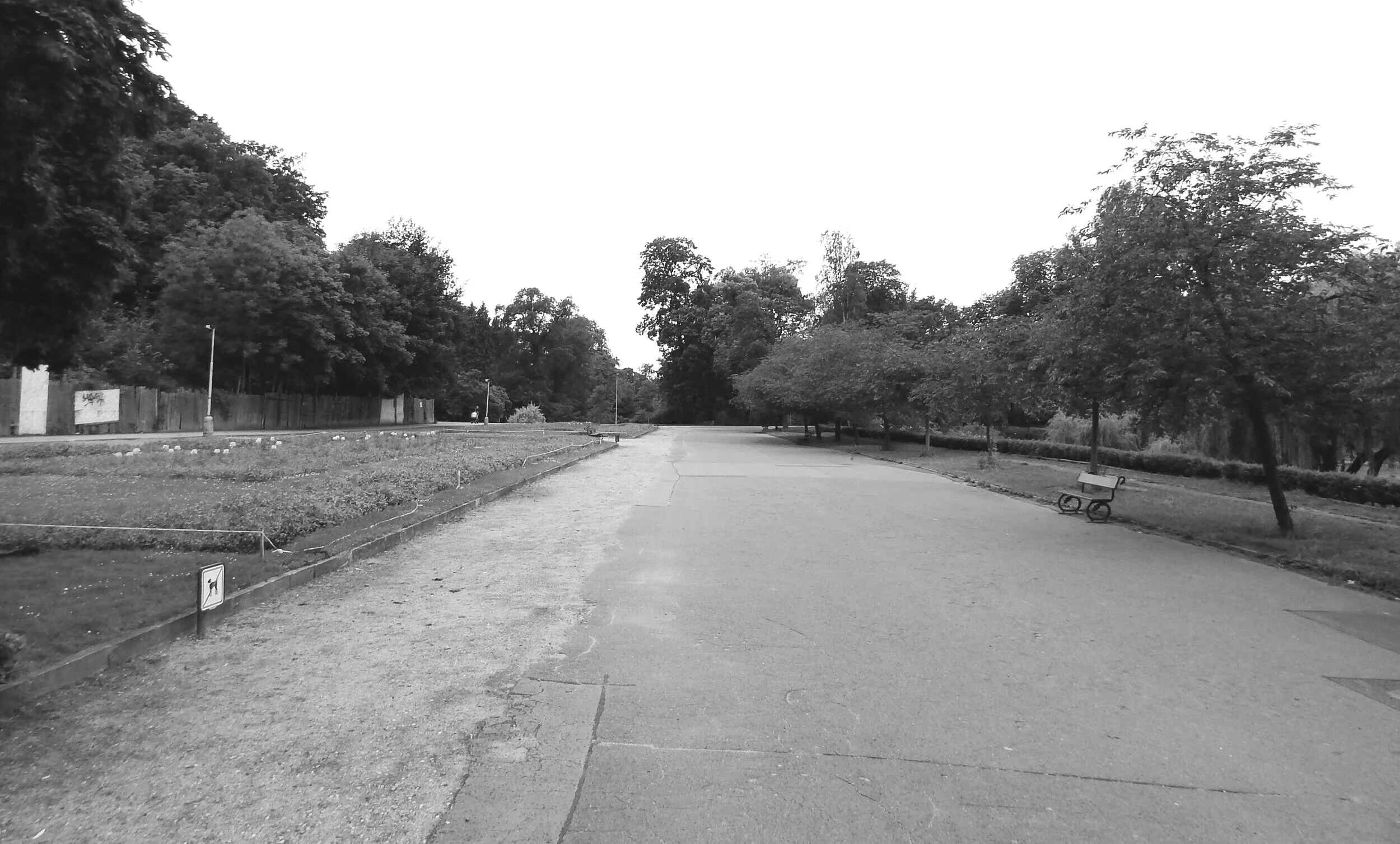 DSCN3506.jpg