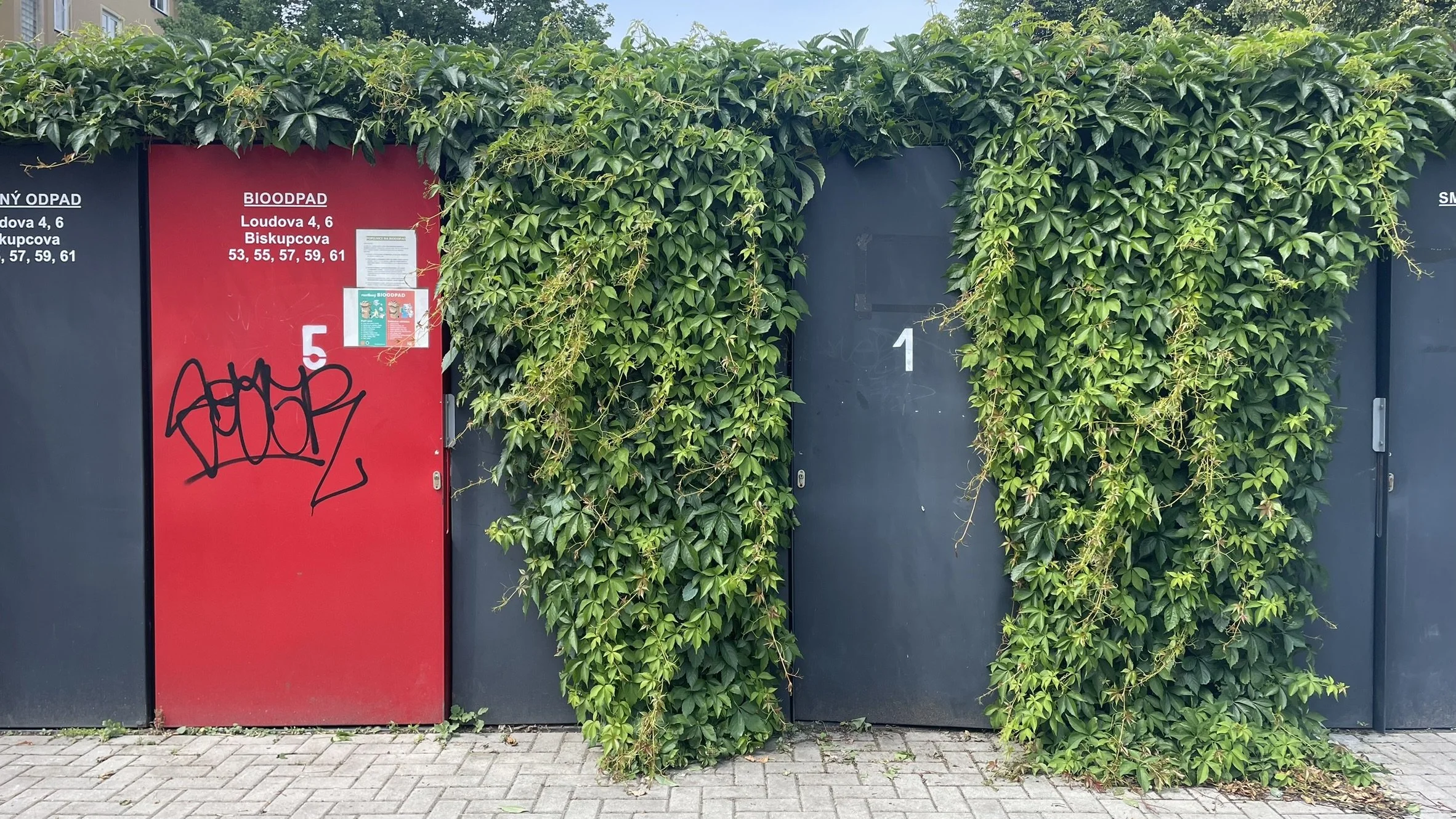 FullSizeRender (1).JPG