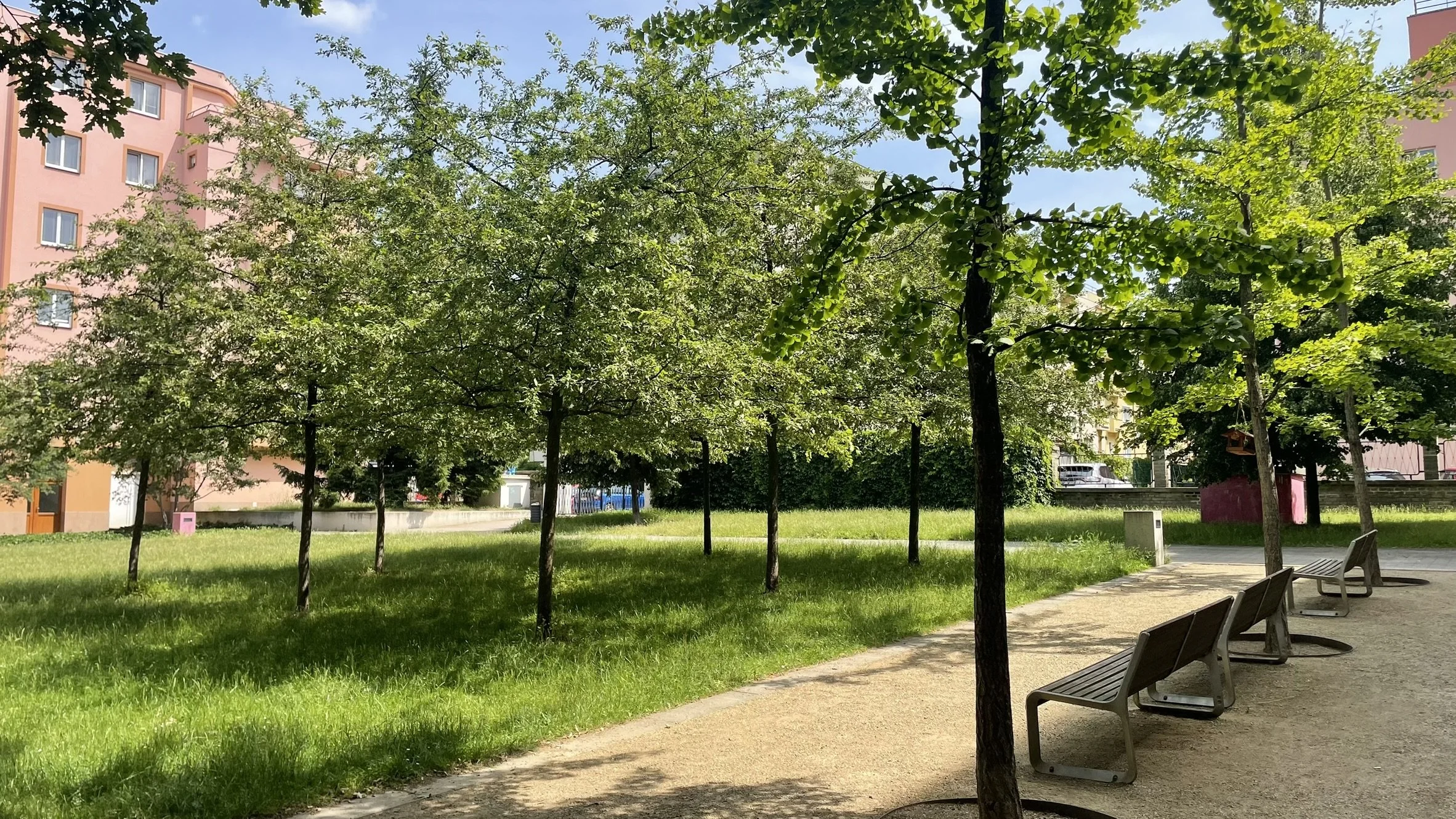 FullSizeRender (8).JPG