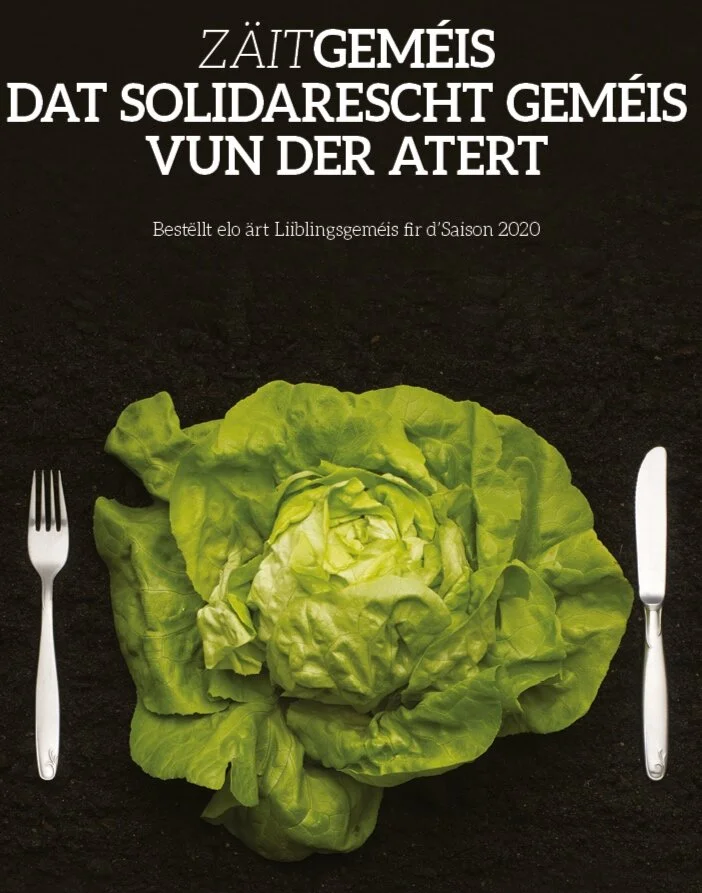 Synergie 54 interieur6.png