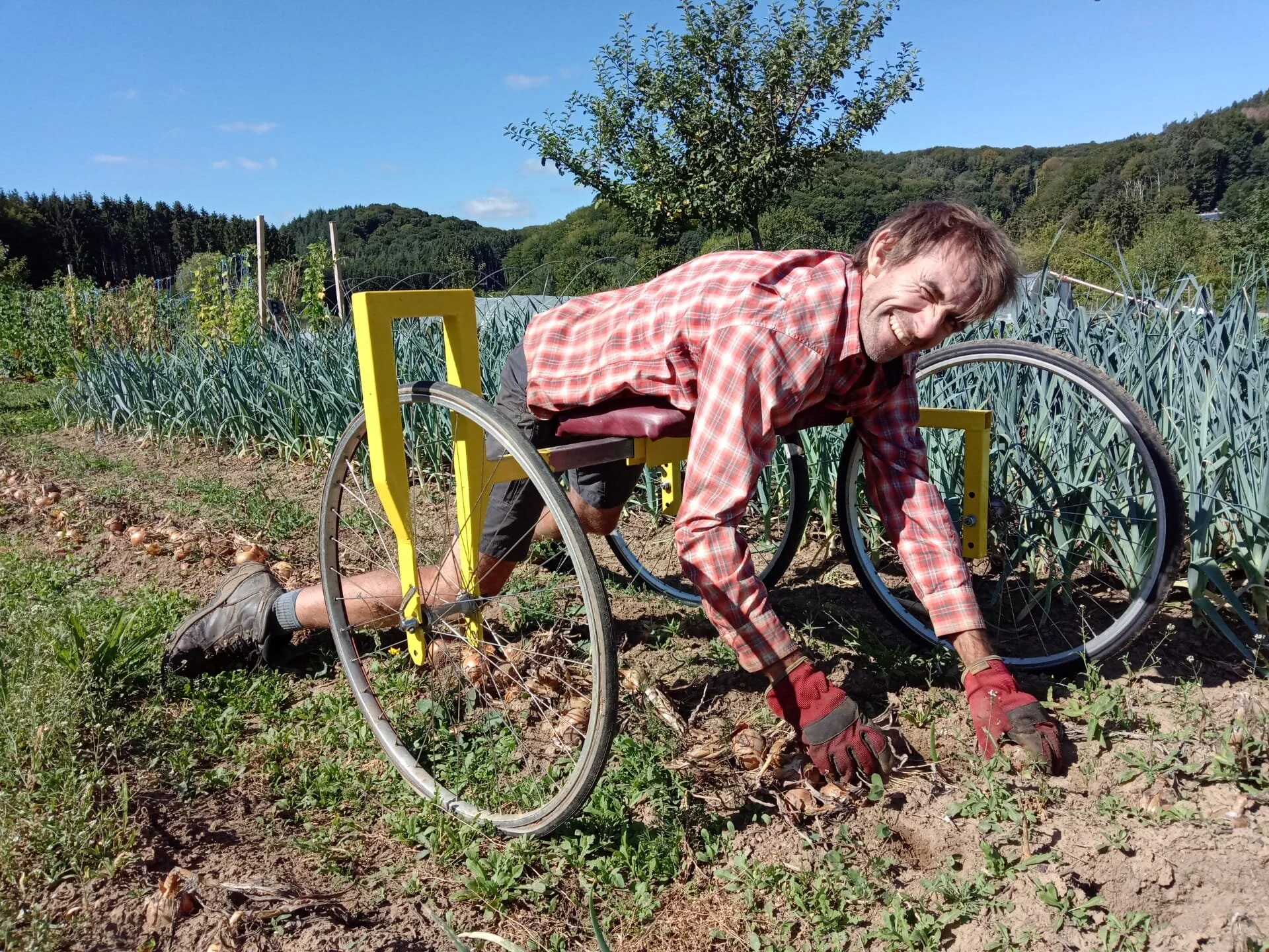 Jutemaschinn.jpg