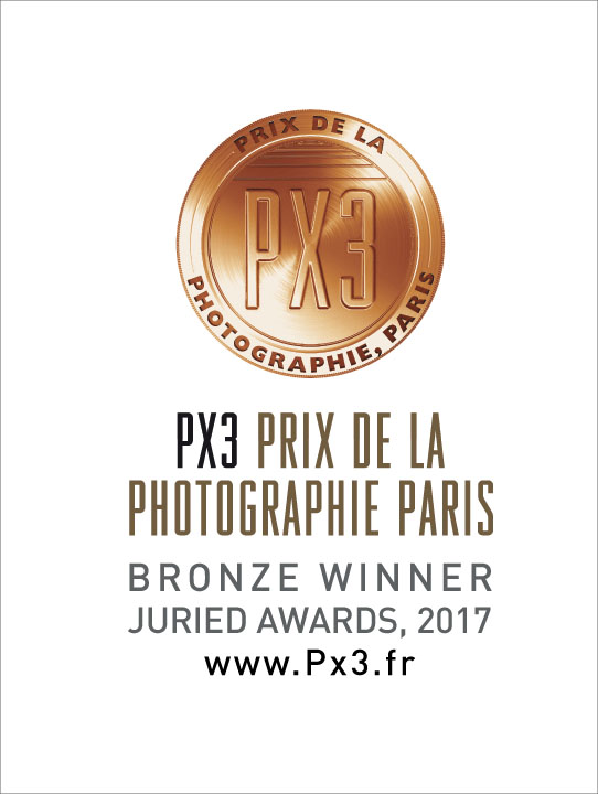 PX3-2017-Bronze.jpg