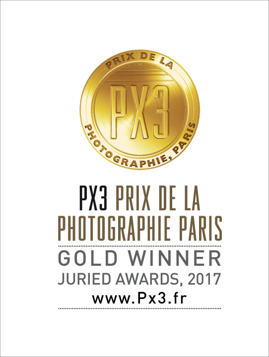 PX3-2017-Gold.jpg