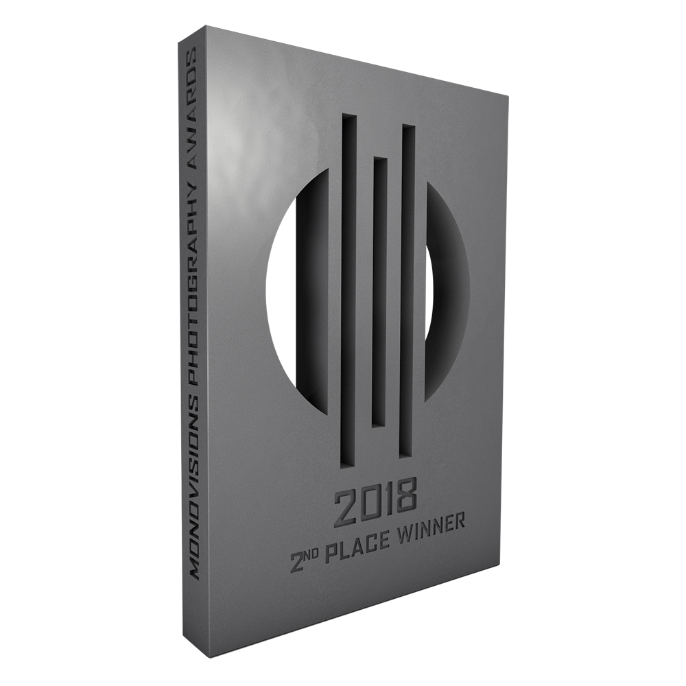 monovisions_awards_2018_2nd_place.png