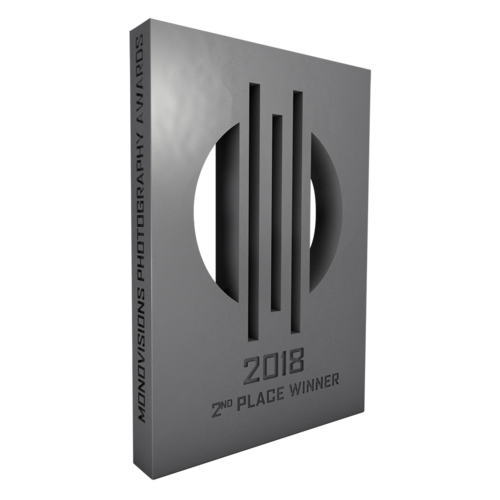 monovisions_awards_2018_2nd_place.png