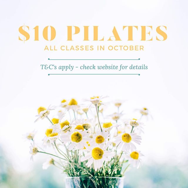 Spring is here! It's almost shorts, singlets and ☀️time - join us all October for $10 classes.

T&amp;Cs apply, check website for details. Link in Bio