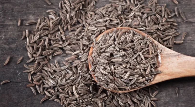 კვლიავი, ანუ ძირა?