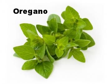 oregano-leaves.jpg