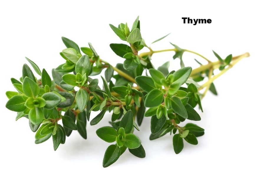 thyme-fb.jpg