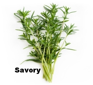 savory.jpg