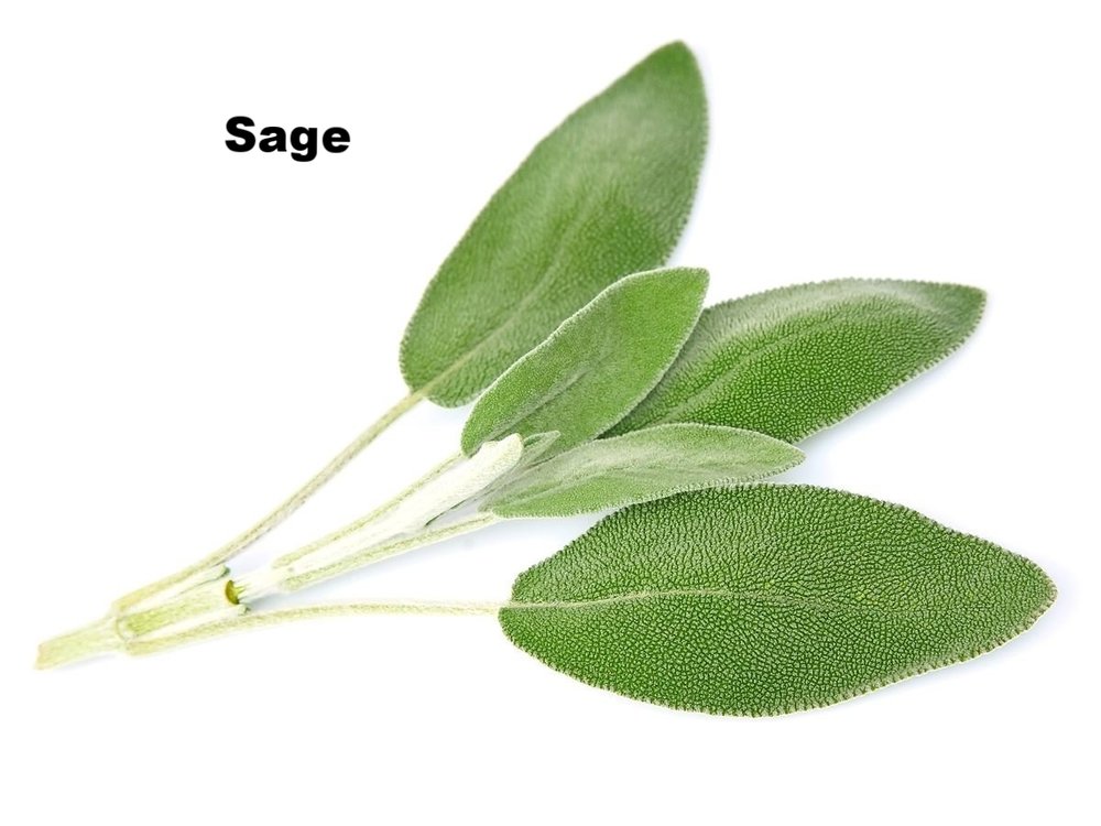 sage2.jpg