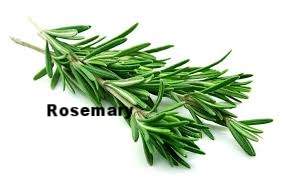 rosemary.jpg