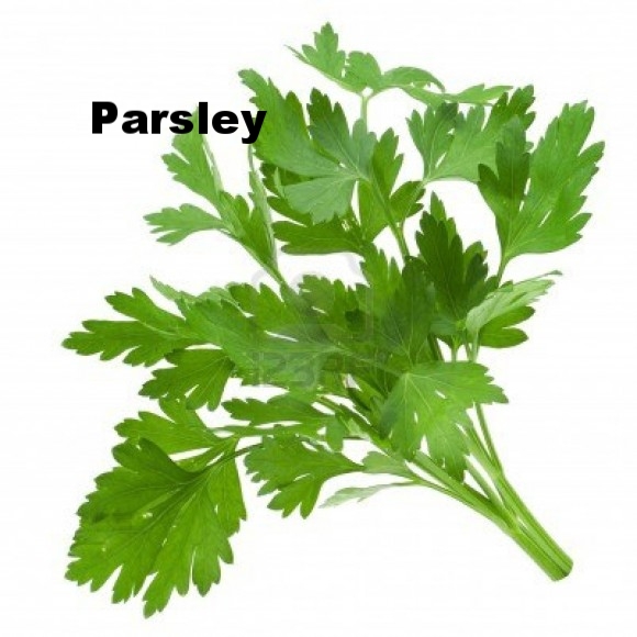 parsley.jpg