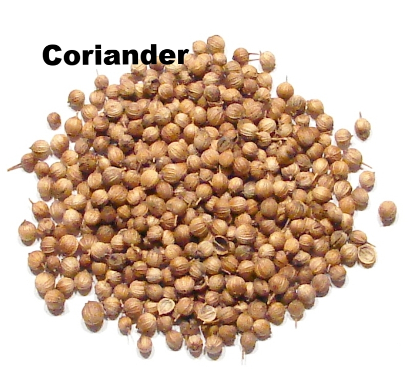 Coriander-Whole-DSC.jpg