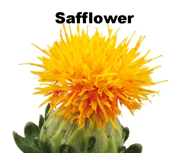 safflower.jpg