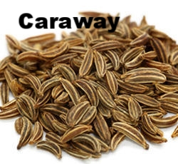 caraway-seeds-250x250.jpeg