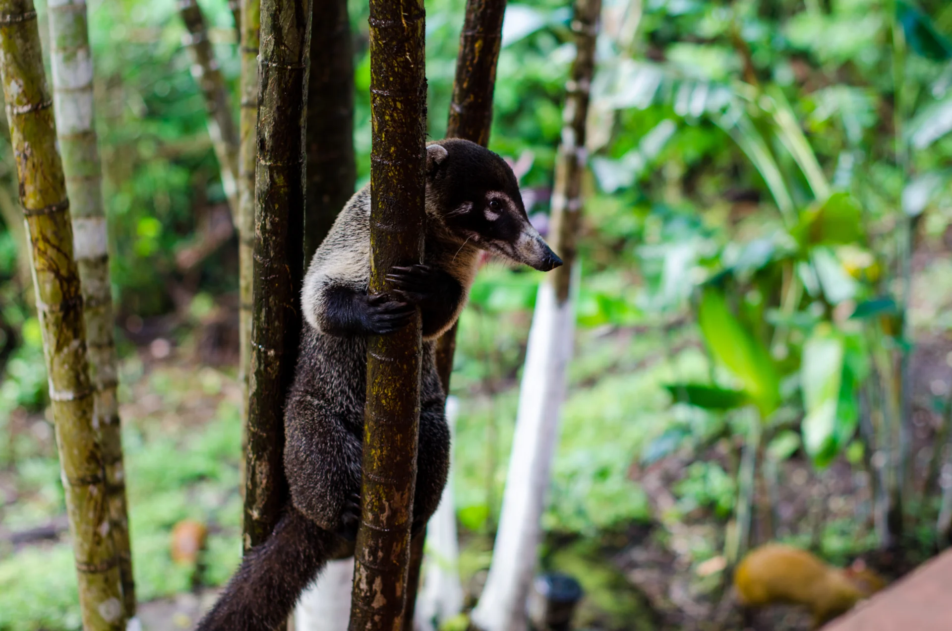 costarica-30.jpg