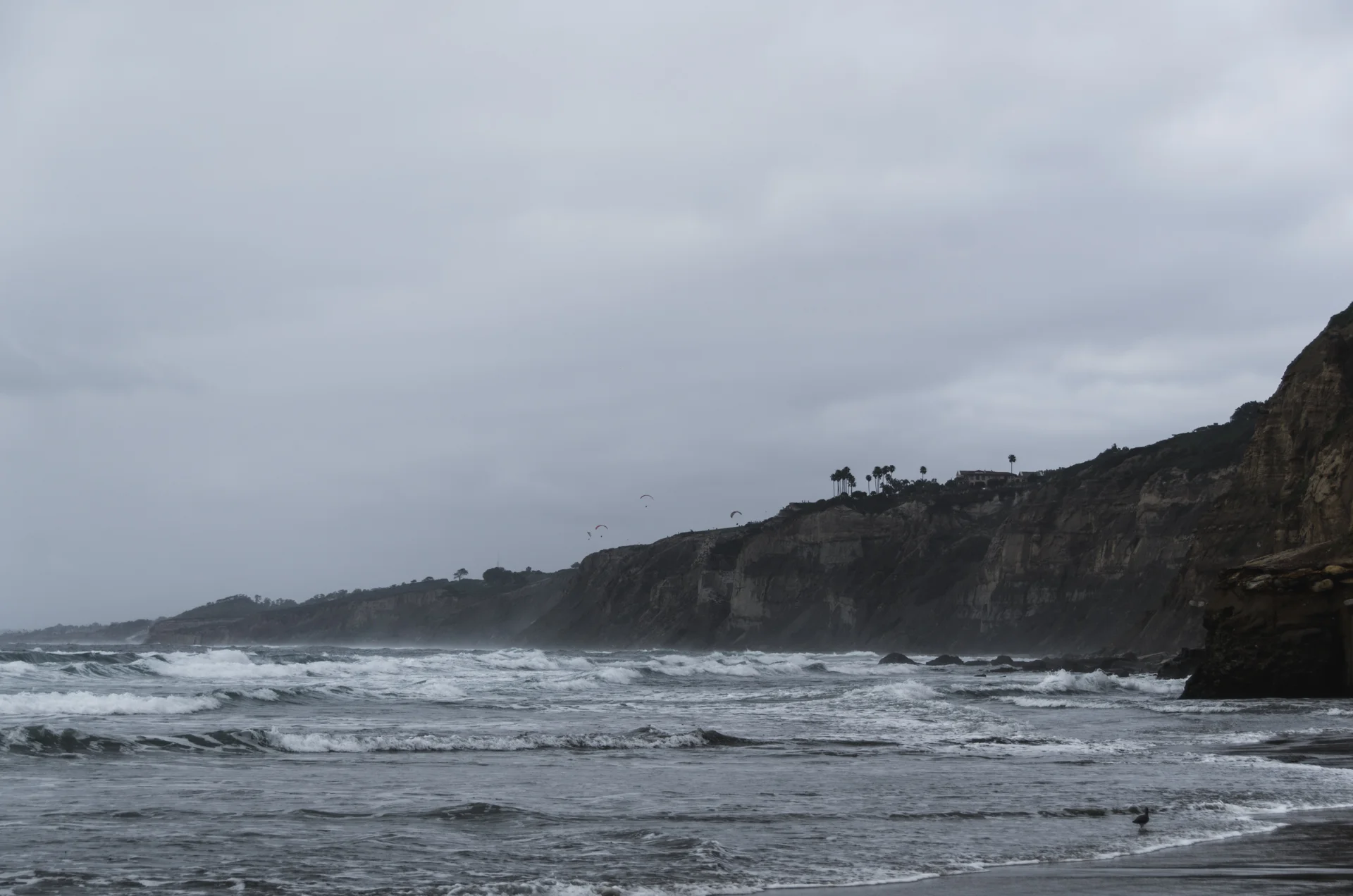 sandiego-17.jpg