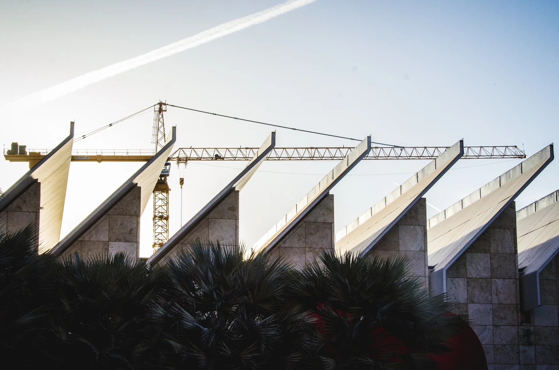 LACMA-2.jpg