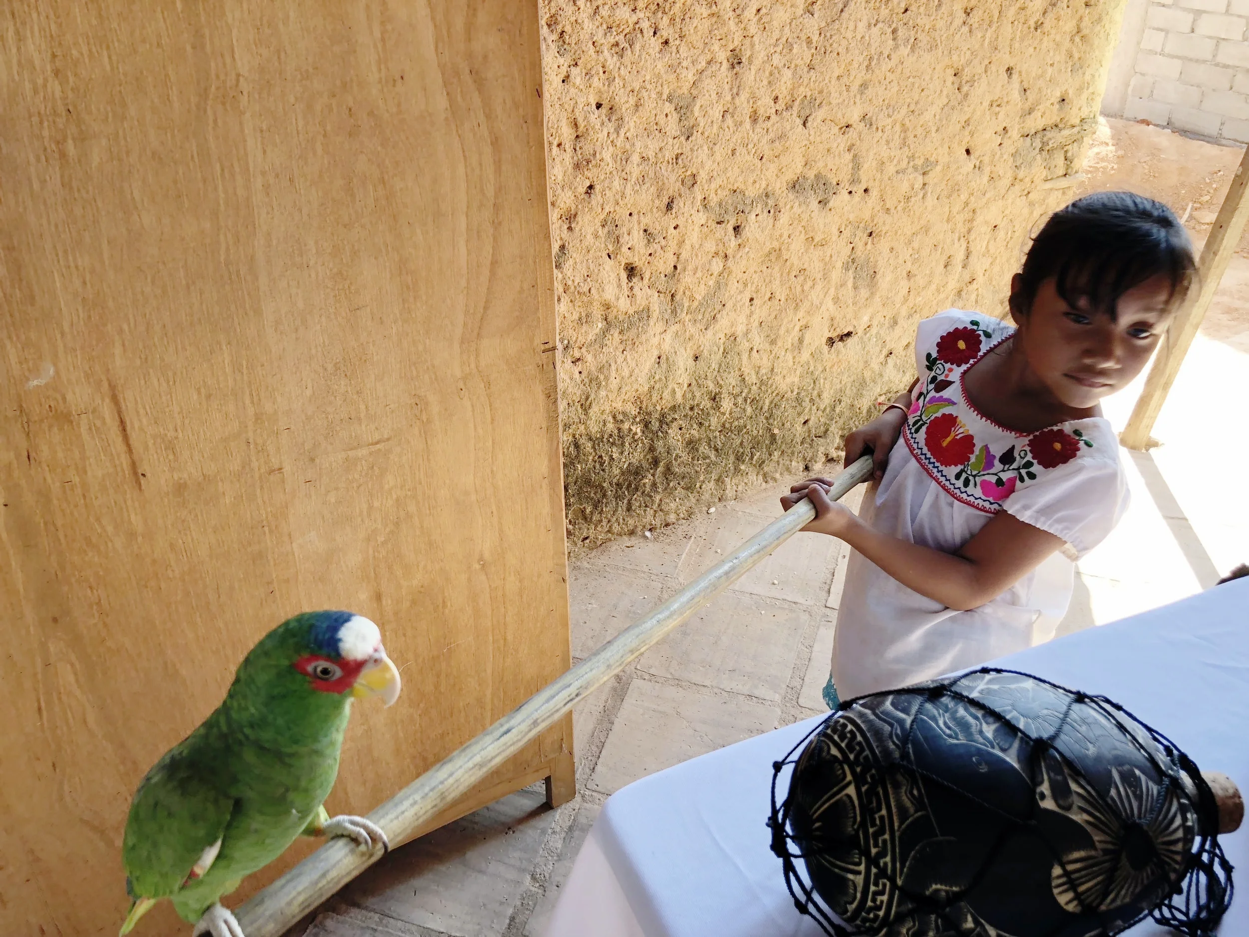 Have an authentic, inclusive and immersive vacation to Mexico this year!